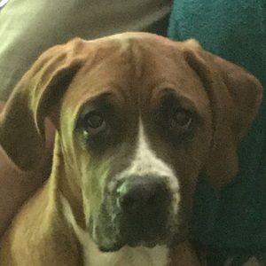 Meet your Posher, Monica